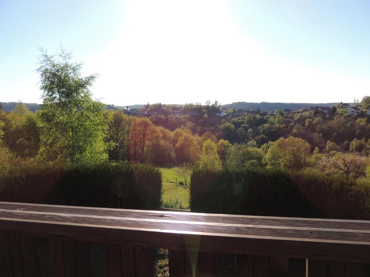 Au Chalet Bain Nordique Neuf Independant Calme Assure Haselbourg 외부 사진