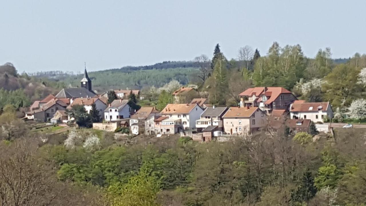 Au Chalet Bain Nordique Neuf Independant Calme Assure Haselbourg 외부 사진