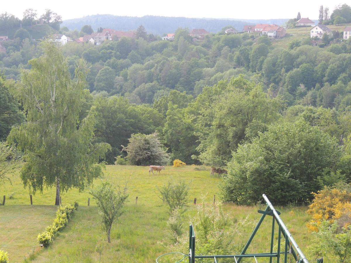 Au Chalet Bain Nordique Neuf Independant Calme Assure Haselbourg 외부 사진